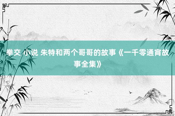 拳交 小说 朱特和两个哥哥的故事《一千零通宵故事全集》